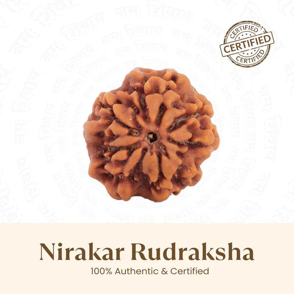 Nepal Origin Nirakar Rudraksha (0 Mukhi) - 18mm - 22mm